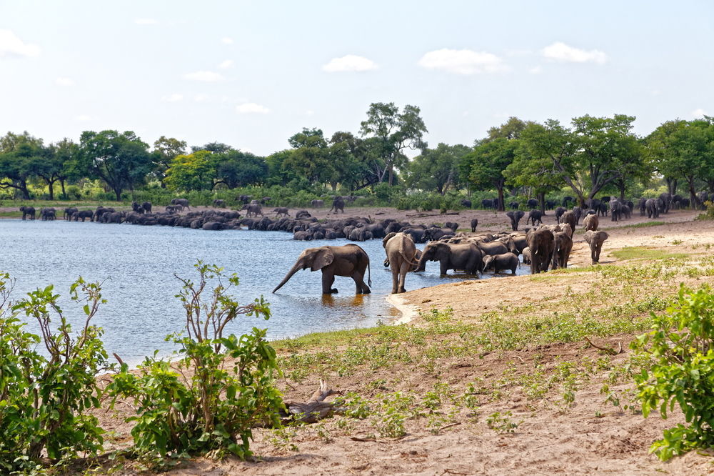 Nambwa Tented Lodge Kongola Luaran gambar