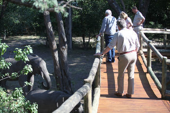 Nambwa Tented Lodge Kongola Luaran gambar